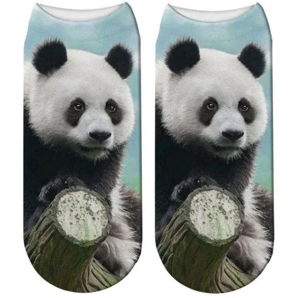 Free   Shipping 3D Panda Print Men & Women Cotton Socks Offers