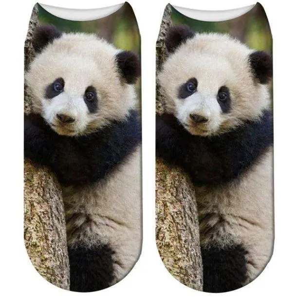 Free   Shipping 3D Panda Print Men & Women Cotton Socks Offers