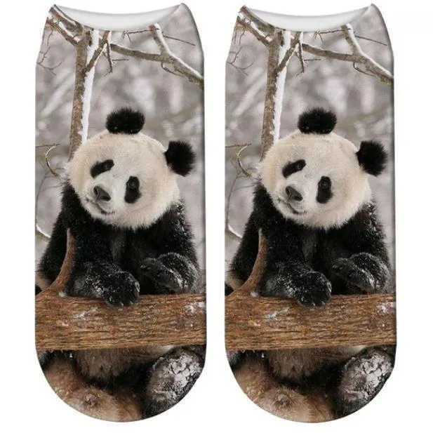 Free   Shipping 3D Panda Print Men & Women Cotton Socks Offers