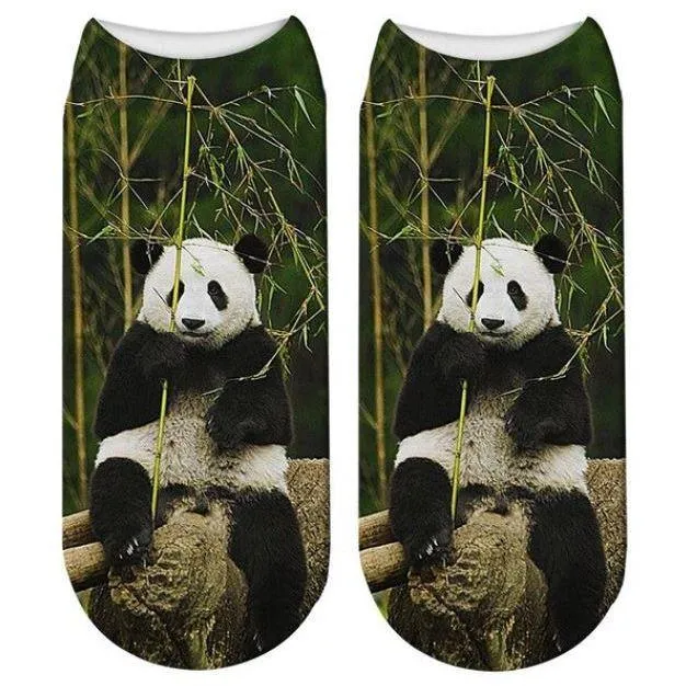 Free   Shipping 3D Panda Print Men & Women Cotton Socks Offers