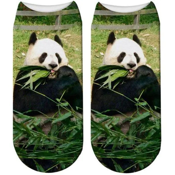 Free   Shipping 3D Panda Print Men & Women Cotton Socks Offers