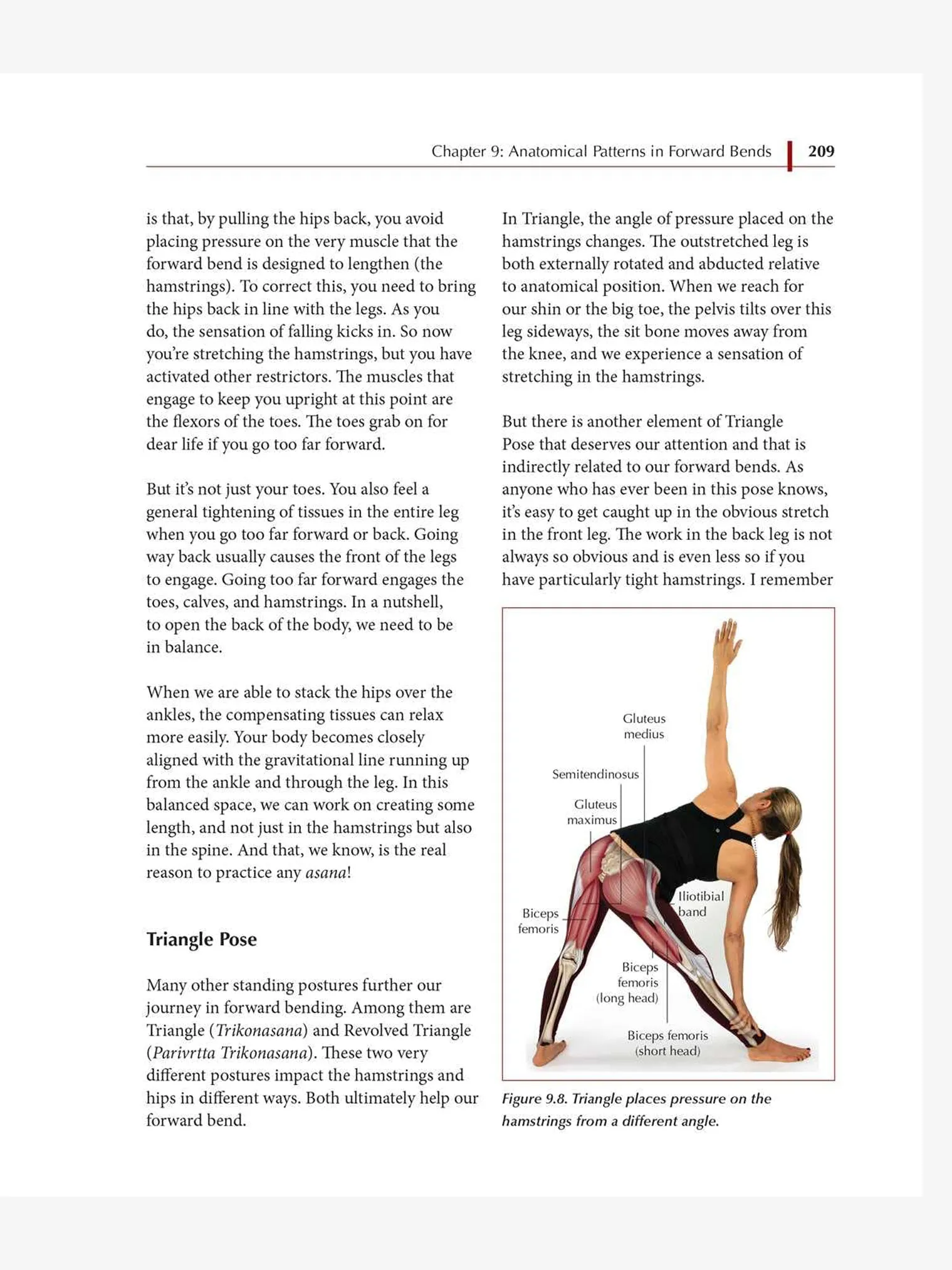 Functional Anatomy of Yoga